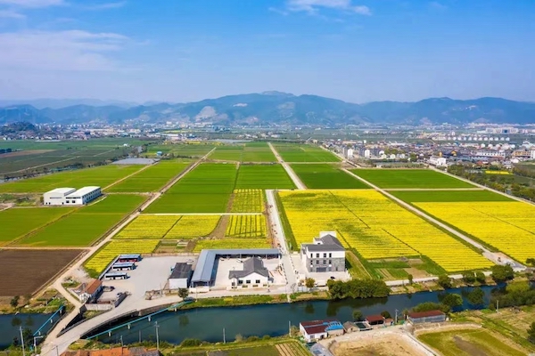 高標準農(nóng)田典型案例集錦丨“豐景”，在希望的田野