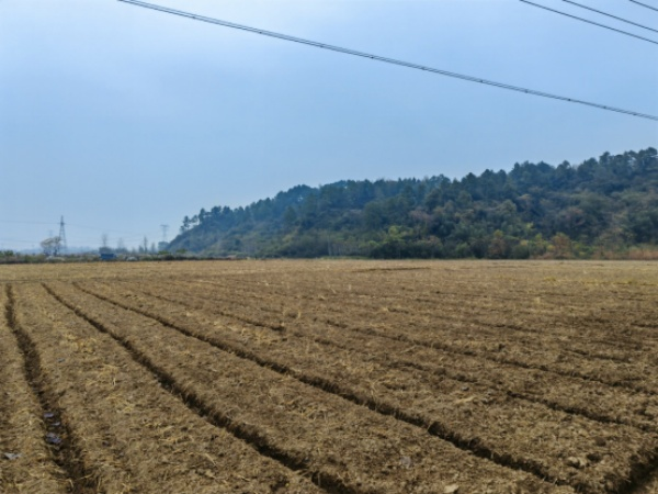 安徽涇縣: 推進高標準農(nóng)田建設(shè) 為推動實現(xiàn)鄉(xiāng)村振興注入生機與活力