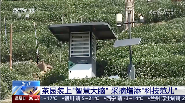 央視、人民網(wǎng)等權(quán)威媒體聚焦西湖龍井：托普云農(nóng)“黑科技”點(diǎn)亮千年茶香智變之路
