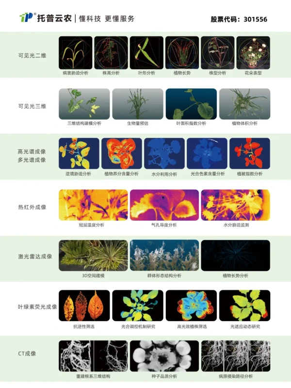 6_副本_副本.jpg