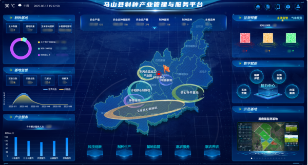 AI+農(nóng)業(yè) | 當種子植入“數(shù)智芯片”，馬山縣打造制種基地新標桿